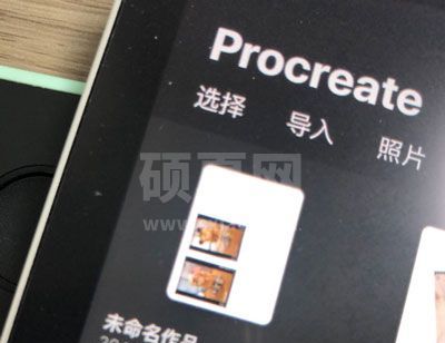 怎样修改Procreate作品名称?Procreate修改作品名称步骤截图