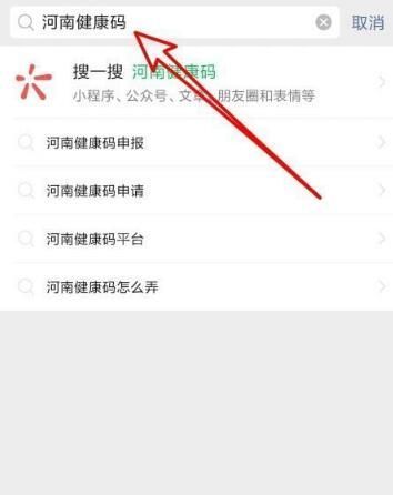 微信河南健康码怎么申请 微信河南健康码在哪里截图