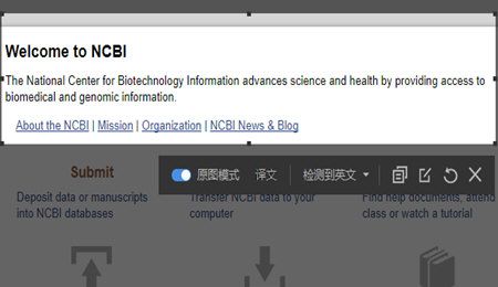 在有道词典中设置截屏翻译的图文教程截图