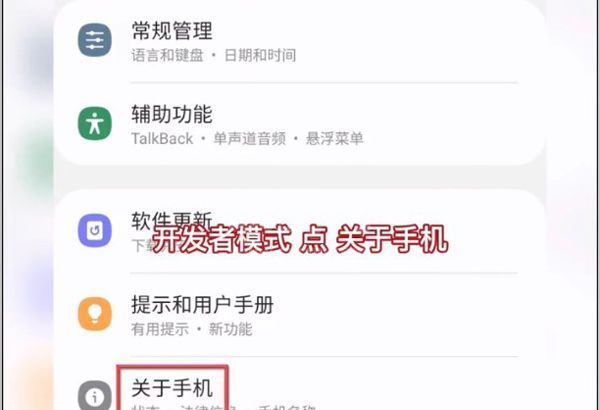 三星s21如何进入开发者模式?三星s21进入开发者模式的方法