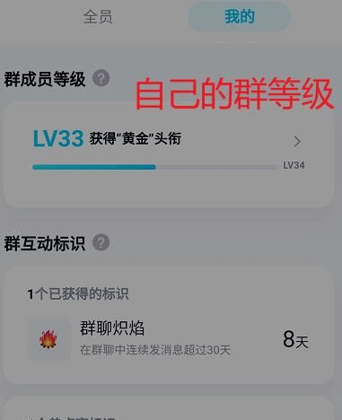 如何查询自己在QQ群中的等级?QQ群查询自己等级的方法截图