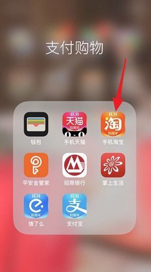 在淘宝里查看我的双11的详细操作截图