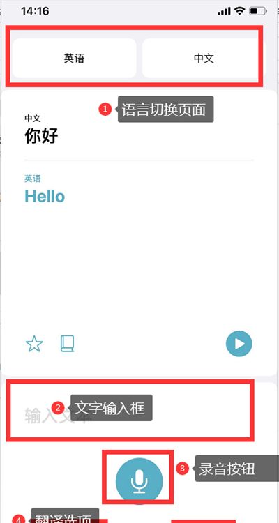 ios14翻译怎么使用 ios14翻译使用教程截图