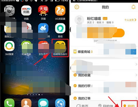 蚂蜂窝自由行APP设置背景的操作流程截图