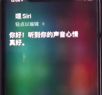 iphone11中唤醒siri的详细方法截图