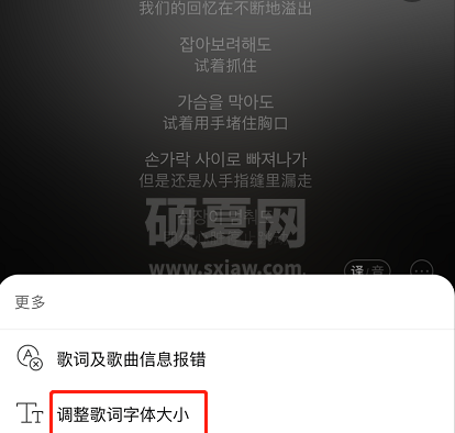 网易云音乐歌词字体大小怎么调整 网易云音乐更改歌词字体大小步骤介绍截图