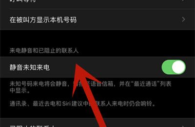 苹果11骚扰电话自动拦截在哪里开启?苹果11骚扰电话自动拦截开启方法截图