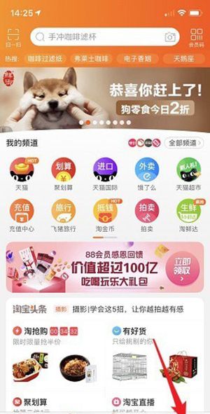 在淘宝里查看我的双11的详细操作截图