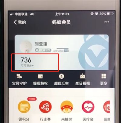 支付宝查看蚂蚁会员积分的简单操作截图