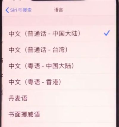 iphone11中设置Siri语言的具体方法截图