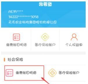 支付宝怎么查询养老保险缴费记录?支付宝查询养老保险缴费记录的方法截图