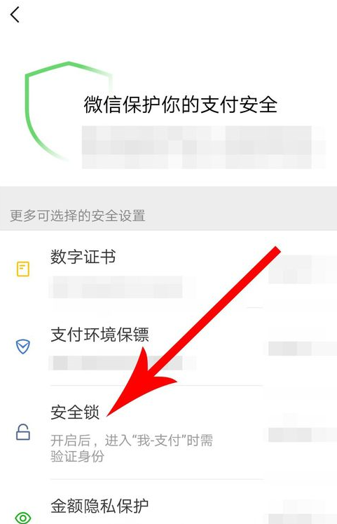 微信APP设置支付安全锁的基础操作截图