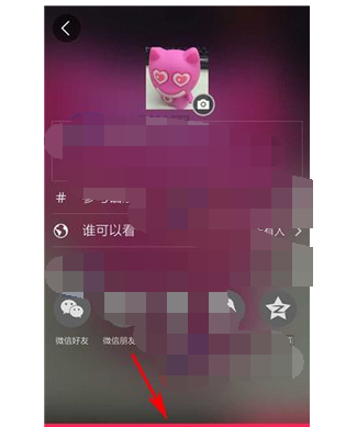 初页APP发布作品的简单操作讲解截图