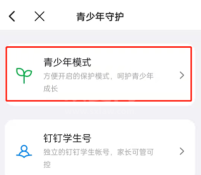 钉钉青少年守护模式在哪开启?钉钉开启青少年守护模式的方法截图