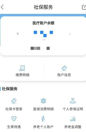 天府市民云查询社保信息的操作过程截图