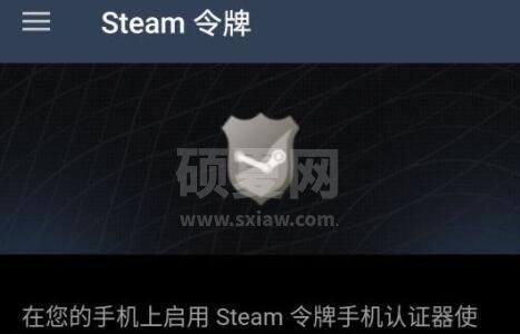 steam手机版看不了密保怎么办?steam手机版看不了密保解决方法