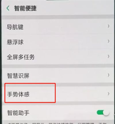 oppo手机中设置黑屏手势的具体图文讲解截图