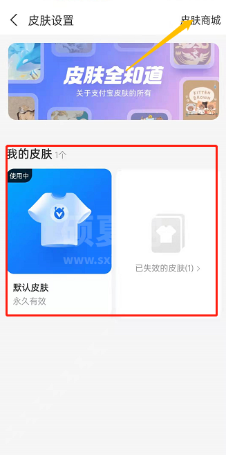 支付宝皮肤中心功能怎么用?支付宝皮肤中心功能使用教程截图