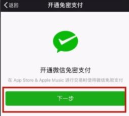 苹果手机绑定微信付款的操作教程截图