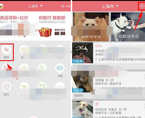 在闻闻窝APP里发领养信息的具体操作截图