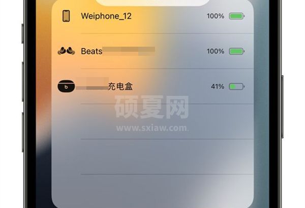 beatsfitpro怎么查看剩余电量？beatsfitpro查看电量方法汇总截图