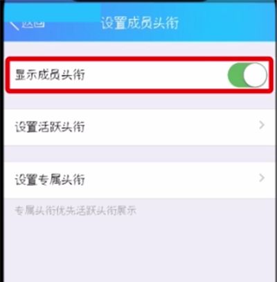 QQ群中显示头衔的操作方法截图