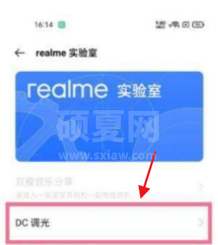 realme真我GT大师版在哪里打开DC调光功能?realme真我GT大师版使用DC调光功能的方法截图