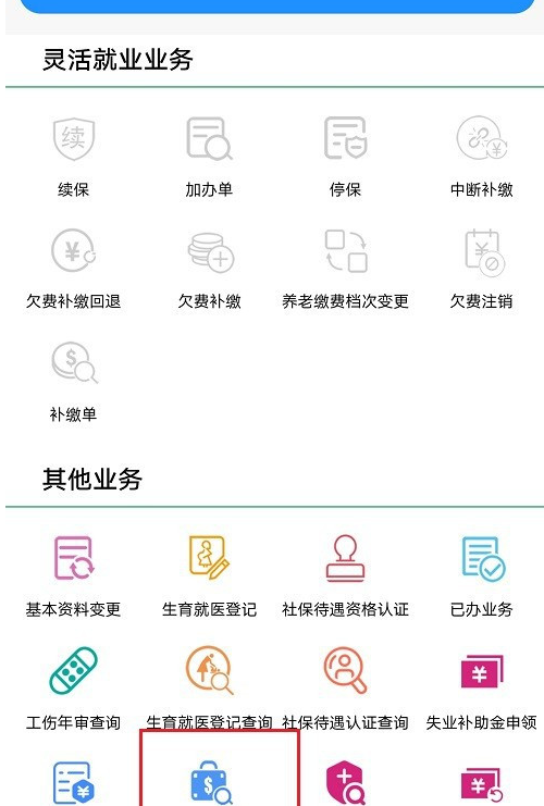 支付宝怎么查看失业保险金领取明细？支付宝查看失业保险金领取明细步骤截图