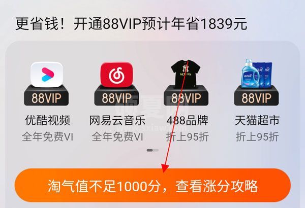 88vip淘气值不够怎么办?88vip淘气值不足1000分查看涨分攻略截图