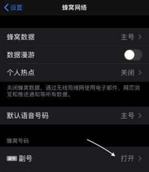 iPhone 11设置双卡双待功能的详细讲解截图