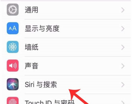 iPhone12siri怎么打开 iPhone12siri打开方法截图