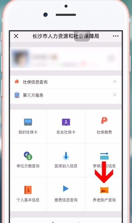 微信查询养老保险的操作步骤截图