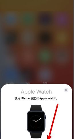 苹果手表怎样重新配对手机?苹果手表重新配对手机步骤截图