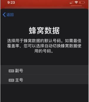 iPhone 11设置双卡双待功能的详细讲解截图