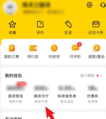 美团月付如何查询信任分?美团月付查询信任分的方法截图