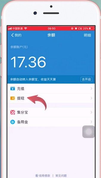 在支付宝里把赏金提现的详细操作截图