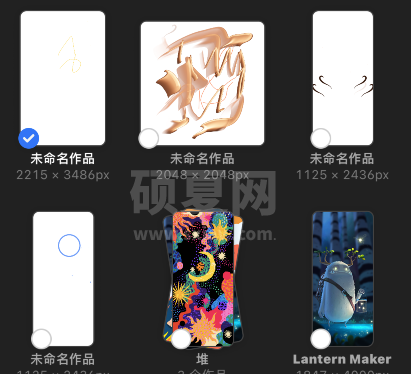 procreate pocket怎么预览作品？procreate pocket预览图片教程截图