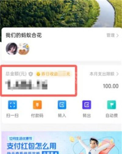 支付宝小荷包怎么查看全部的收益?支付宝小荷包查看全部的收益方法介绍截图