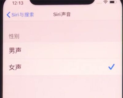 iphone11中设置siri性别的详细方法截图