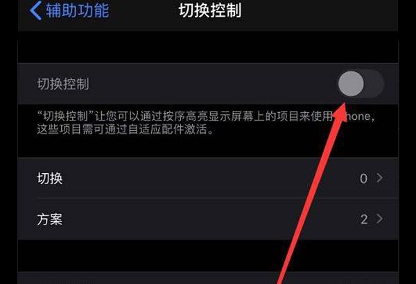 iphone13切换控制功能在哪打开?iphone13设置多任务控制功能及方案方法截图