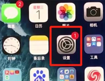 iphone11打开悬浮球的操作流程截图