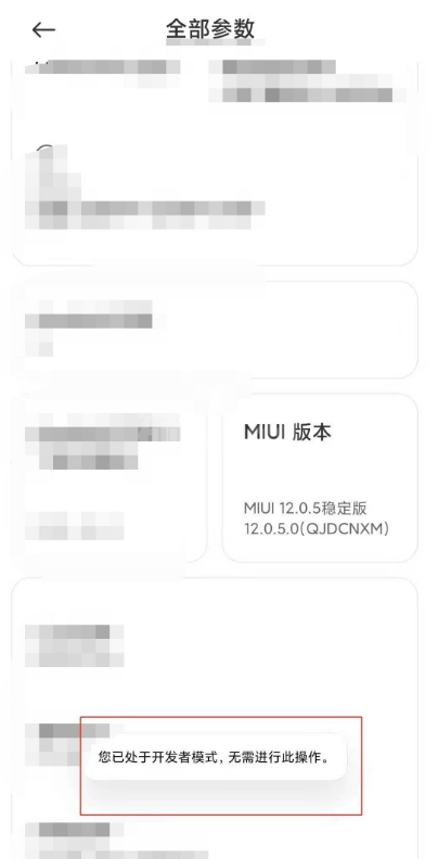 小米10如何打开开发者模式?小米10开启开发者模式教程截图