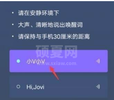 vivos10怎样唤醒语音助手?vivos10唤醒语音助手方法介绍截图