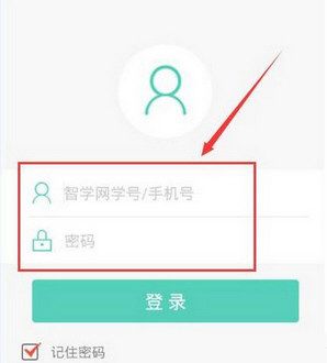 通过智学网查询小学成绩的操作过程截图