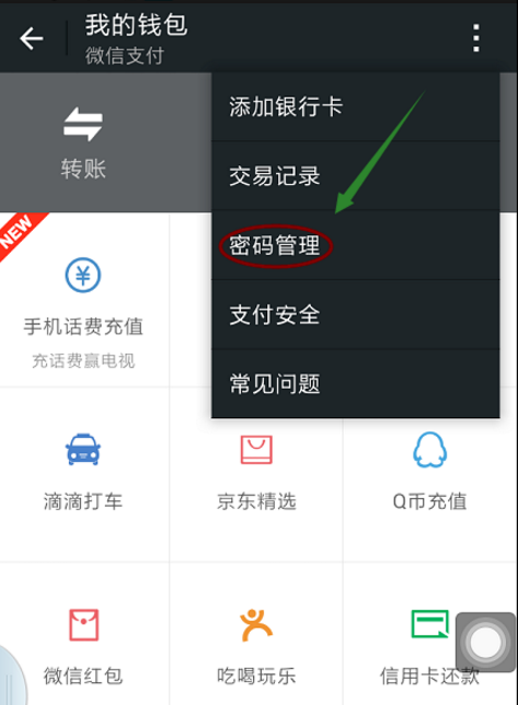 微信更改支付密码的基础操作截图