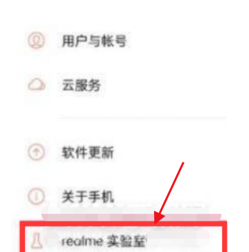 realme真我GT大师版在哪里打开DC调光功能?realme真我GT大师版使用DC调光功能的方法