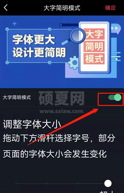 抖音如何取消大字简明模式?抖音取消大字简明模式方法截图