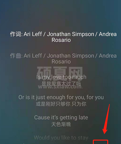 网易云音乐如何关闭歌词中文翻译?网易云音乐关闭歌词中文翻译教程截图