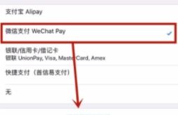 苹果手机绑定微信付款的操作教程截图