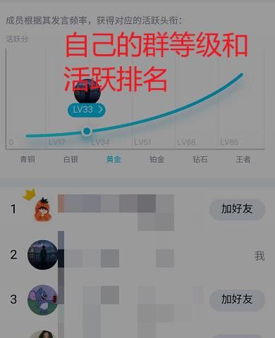 如何查询自己在QQ群中的等级?QQ群查询自己等级的方法截图